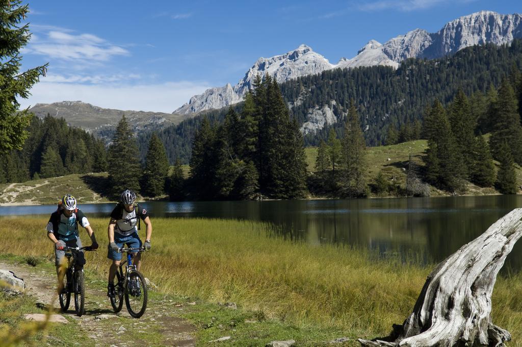 Residence Rta La Rosa Delle Dolomiti Carisolo Zewnętrze zdjęcie