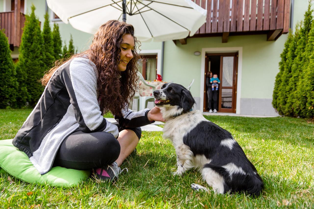 Residence Rta La Rosa Delle Dolomiti Carisolo Zewnętrze zdjęcie